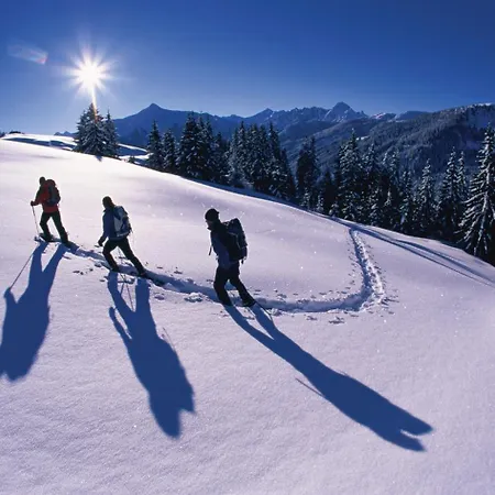 Hotel Alpina 4*