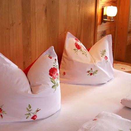 Hotel Alpina 4*
