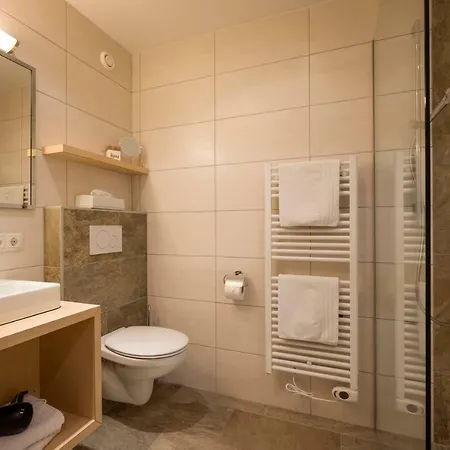 Hotel Alpina 4*