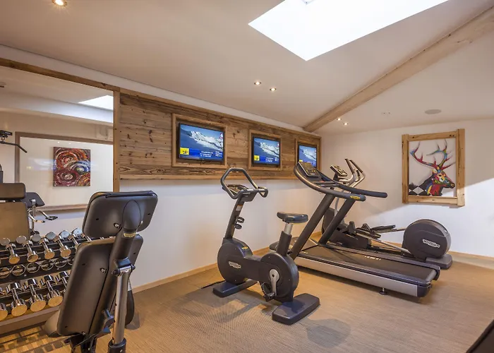 Alpina Hotel Ried im Zillertal