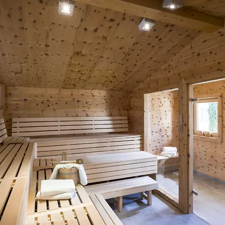 Alpina Hotel Ried im Zillertal