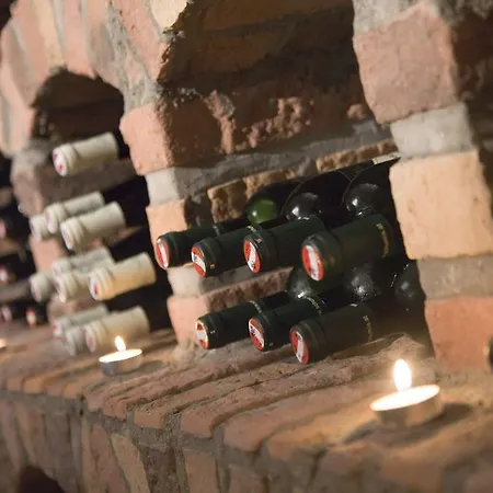 Alpina Ried im Zillertal