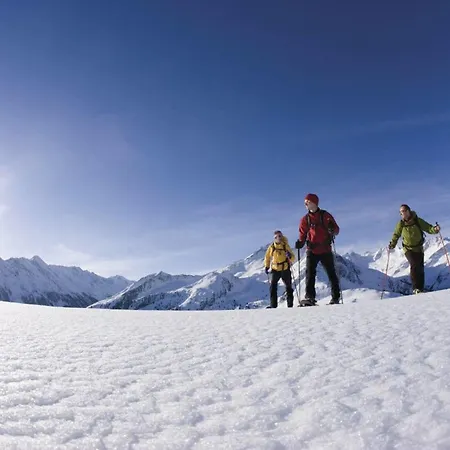 Alpina Hotel Ried im Zillertal